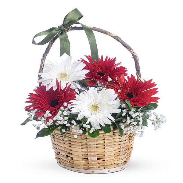  Karaman Çiçek Kırmızı ve Beyaz Gelbera Çiçek Sepeti
