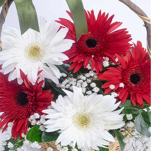  Karaman Çiçek Kırmızı ve Beyaz Gelbera Çiçek Sepeti